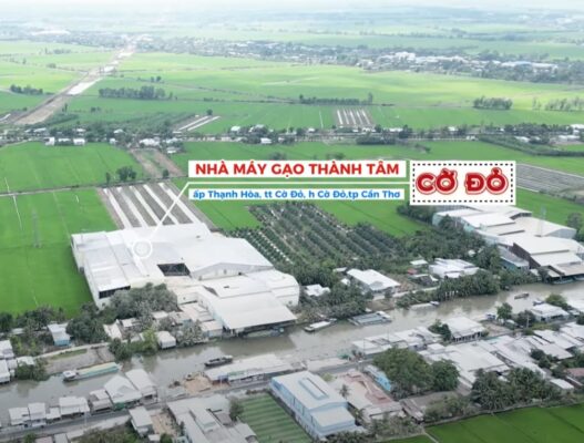 Nhà Máy Thành Tâm Cờ Đỏ - Đơn Vị Sản Xuất Gạo Uy Tín, Hiện Đại